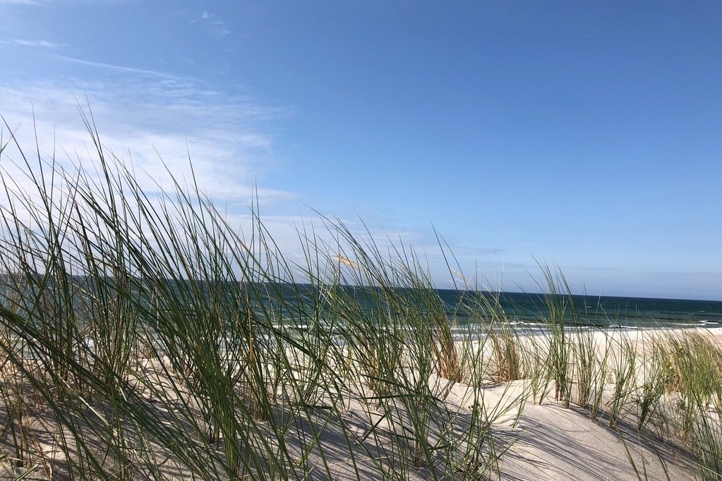 Blick auf den Strand - Ferienhaus Deichblume